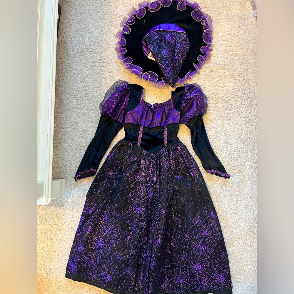 Spider web witch costume